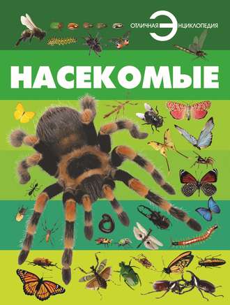 . Насекомые