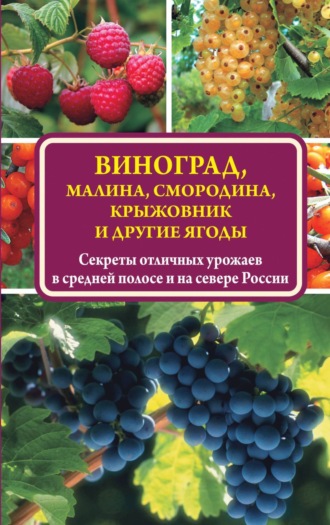. Виноград, малина, смородина, крыжовник и другие ягоды