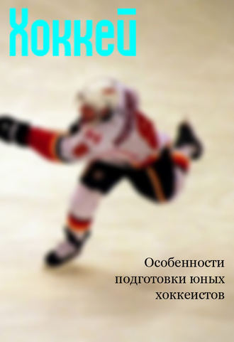 . Особенности подготовки юных хоккеистов