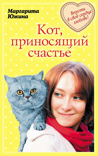 . Кот, приносящий счастье
