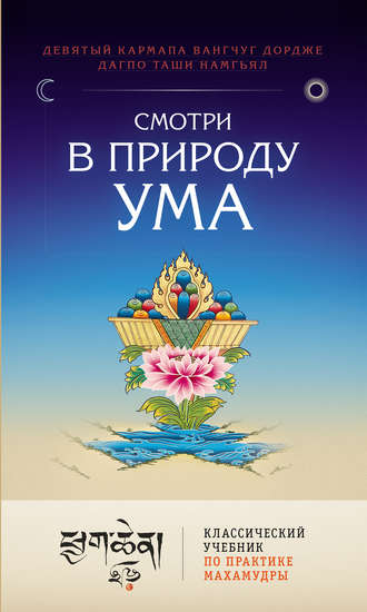 . Смотри в природу ума. Классический учебник по практике Махамудры