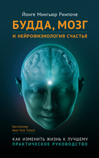 . Будда, мозг и нейрофизиология счастья. Как изменить жизнь к лучшему