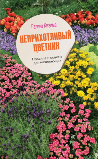 . Неприхотливый цветник. Правила и советы для начинающих