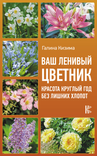Галина Кизима. Ваш ленивый цветник. Красота круглый год без лишних хлопот