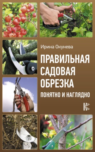 . Правильная садовая обрезка: понятно и наглядно