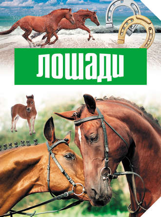 . Лошади