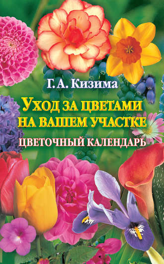 . Уход за цветами на вашем участке. Цветочный календарь