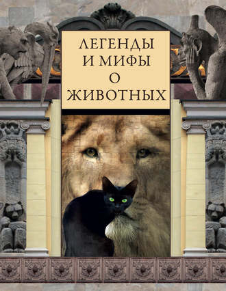 . Легенды и мифы о животных