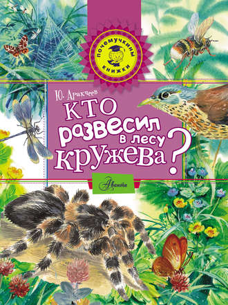 . Кто развесил в лесу кружева?