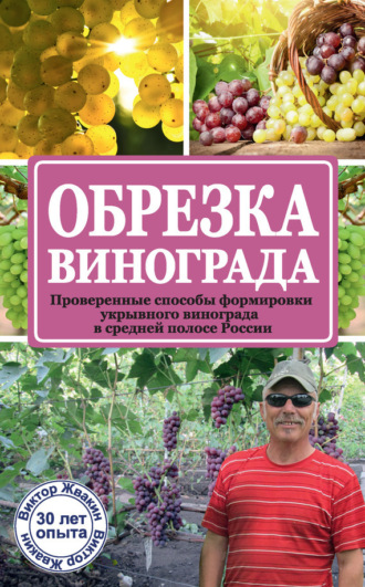 . Обрезка винограда. Проверенные способы формировки укрывного винограда в средней полосе России