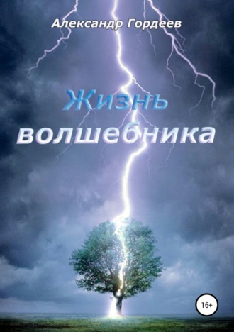. Жизнь волшебника